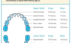 Teething - What You Should Know